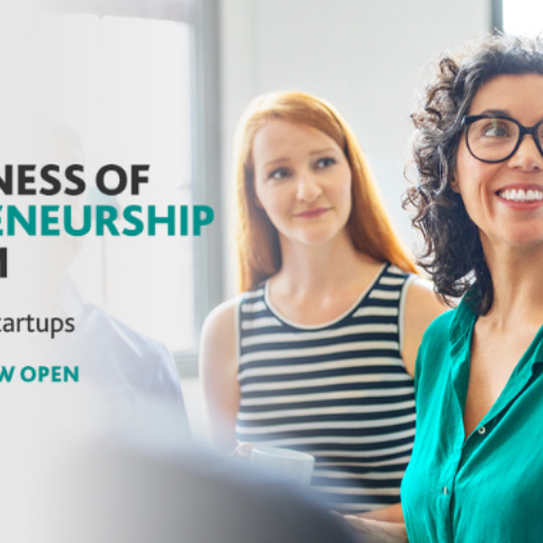 The Business of Entrepreneurship Program